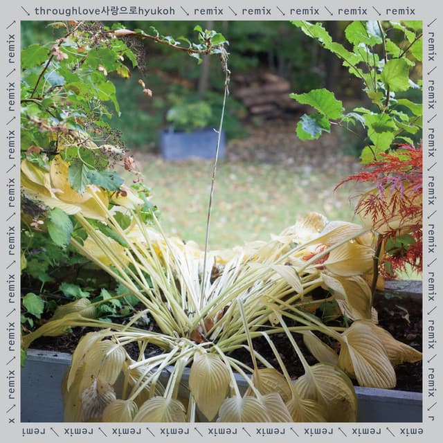 Silverhair Express (Chang Kiha Remix)