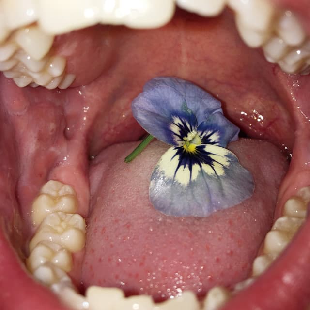 Lights (feat. Kim Hanjoo)