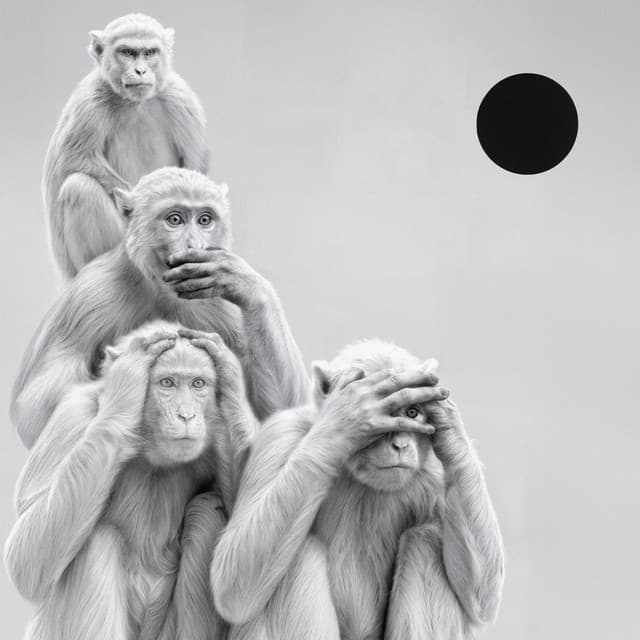 Yin and Yang - FANXY CHILD Ver.